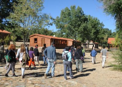 principal campamento